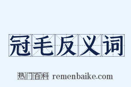 冠毛反义词是什么意思的图片